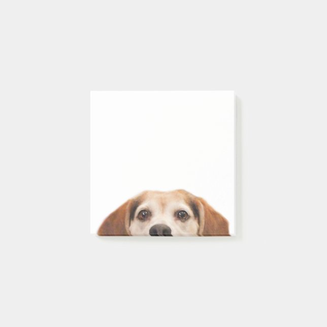 Post-it® Hello mignon Beagle chien moderne tendance (Devant)