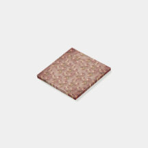 Honey Crisp Apple Post-It Notes