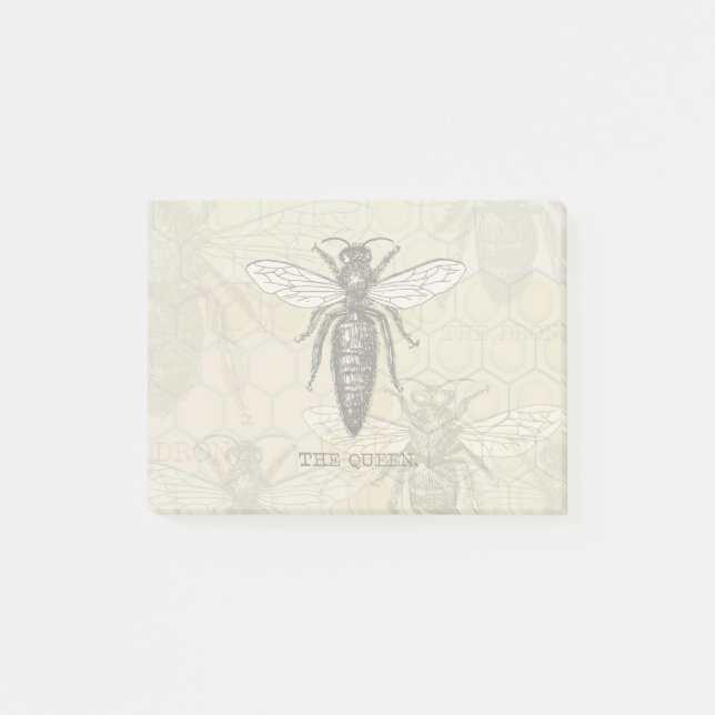 Post-it® Illustration Antique d'Insecte de Bourdon de Reine (Devant)