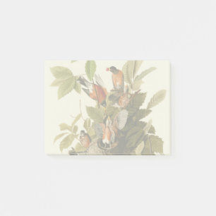 Post-it® Illustration Audubon American Robin Wildlife Bird