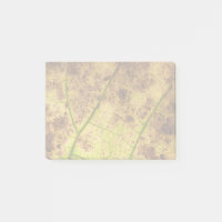 Image Macro Terre Jaune et Brown feuille
