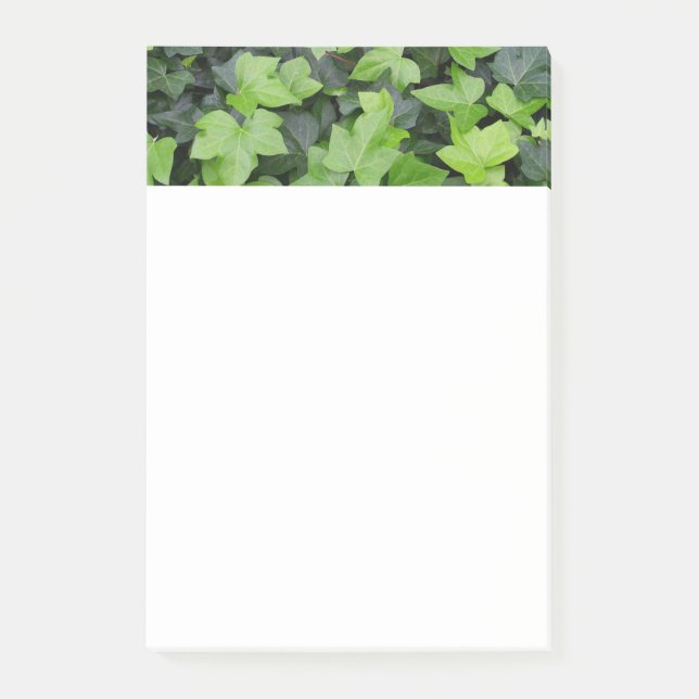 Post-it® Impression botanique verte Ivy (Devant)