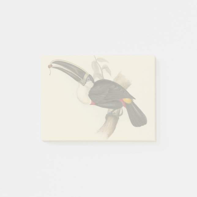 Post-it® Impression du Toucan de Cuvier : Oiseau Tropical V (Devant)