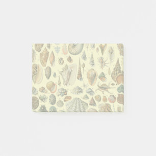 Post-it® Impression vintage de coquillages d'Adolphe Millot