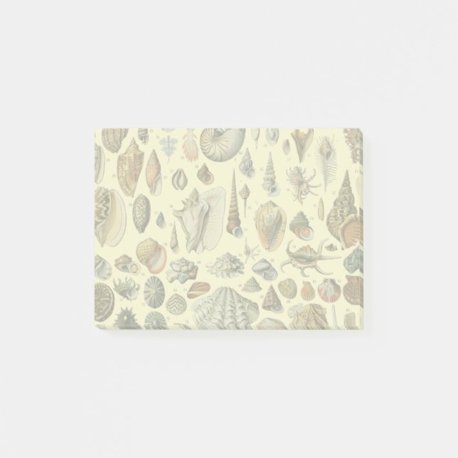 Post-it® Impression vintage de coquillages d'Adolphe Millot (Devant)