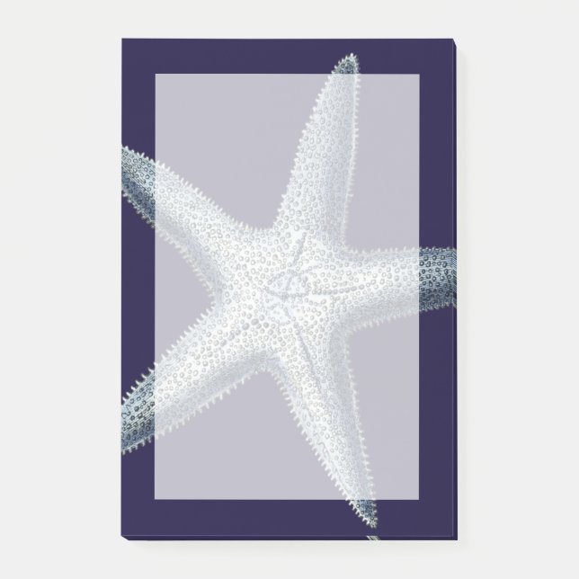 Post-it® Indigo Shells IV (Devant)