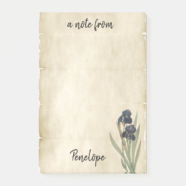 Post-it® Irises botaniques vintages sur parchemin avec nom (Devant)