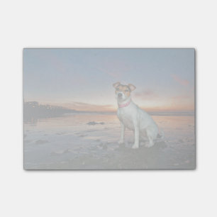 Post-it® Jack Russell Sitting Beach Brighton Beach
