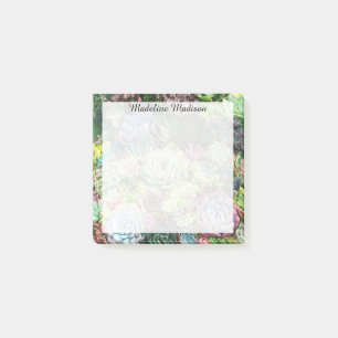 Post-it® Jardin coloré Succulent