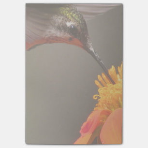 Post-it® Jardin floral aux fleurs de tournesol d'oiseaux de
