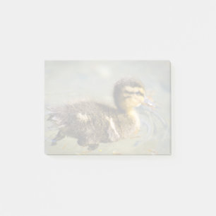 Post-it® Jeune canard de bébé