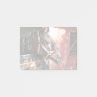 Joli Cheval de Baie dans un soleil stable