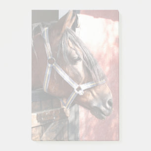 Post-it® Joli Cheval de Baie dans un soleil stable