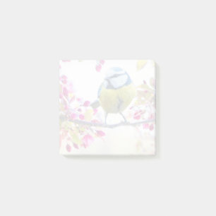 Post-it® Joli oiseau bleu et jaune sur une branche Photogra
