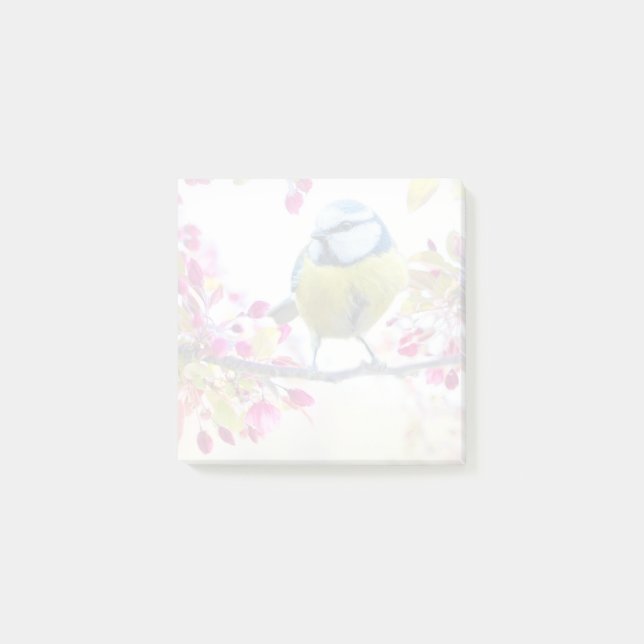 Post-it® Joli oiseau bleu et jaune sur une branche Photogra (Devant)