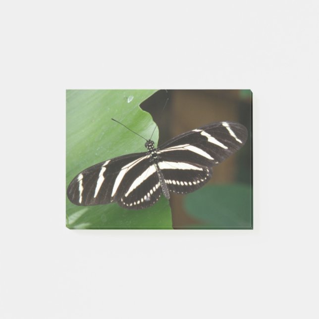 Post-it® Joli Zebra Longwing Papillon Post il note (Devant)