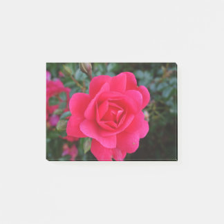 Post-it® jolie photo de rose rose