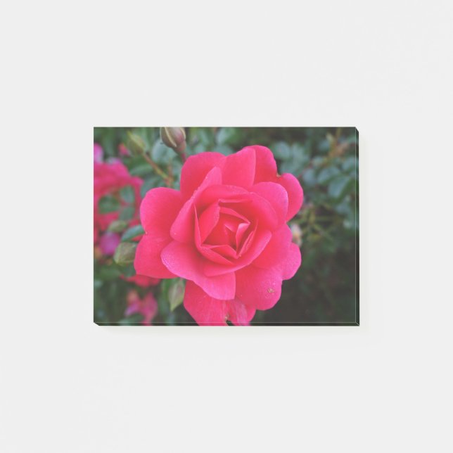 Post-it® jolie photographie de fleur de rose rose (Devant)
