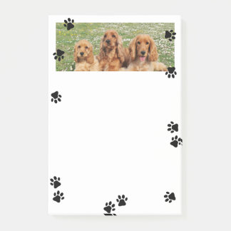 Post-it® Jolies Empreintes de Patte Large Photo d'Animal de