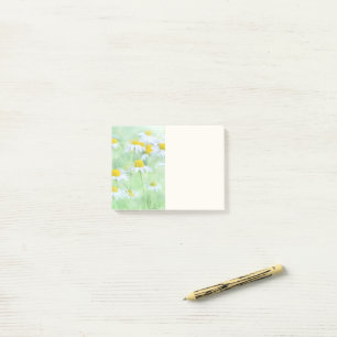 Post-it® Jolies marguerites dans une photo de terrain