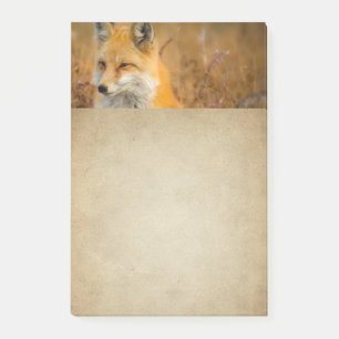 Post-it® Jote Red Fox Wilderness Nature Photographie
