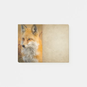 Post-it® Jote Red Fox Wilderness Nature Photographie