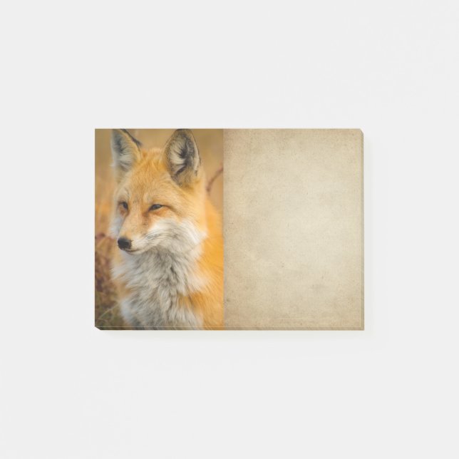 Post-it® Jote Red Fox Wilderness Nature Photographie (Devant)