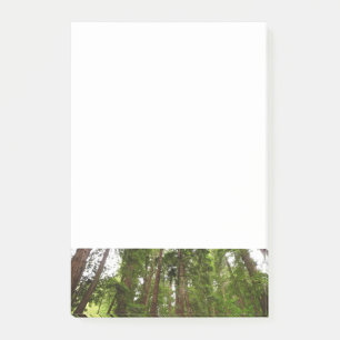 Post-it® Jusqu'à Redwoods I au monument national de Muir Wo