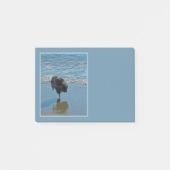 Post-it® Keeshond Ballet Photographie - Joli chien d'origin (Devant)