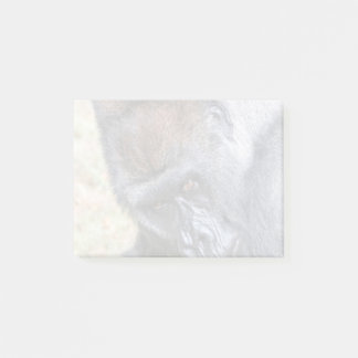 Post-it® Kidogo (Willie B Jr) au Zoo Atlanta