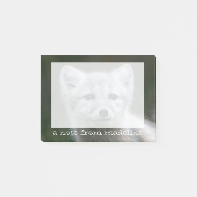 Post-it® Kit de Fox arctique des images | de Getty (Devant)