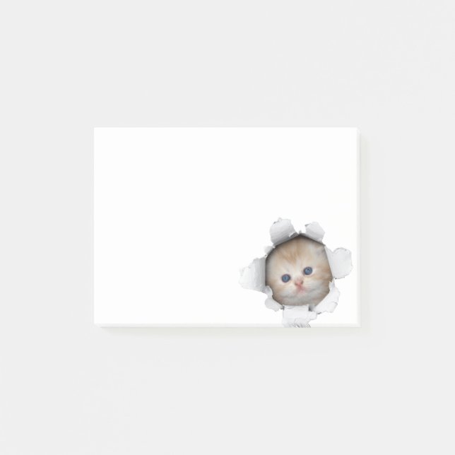 Post-it® Kitty (Devant)