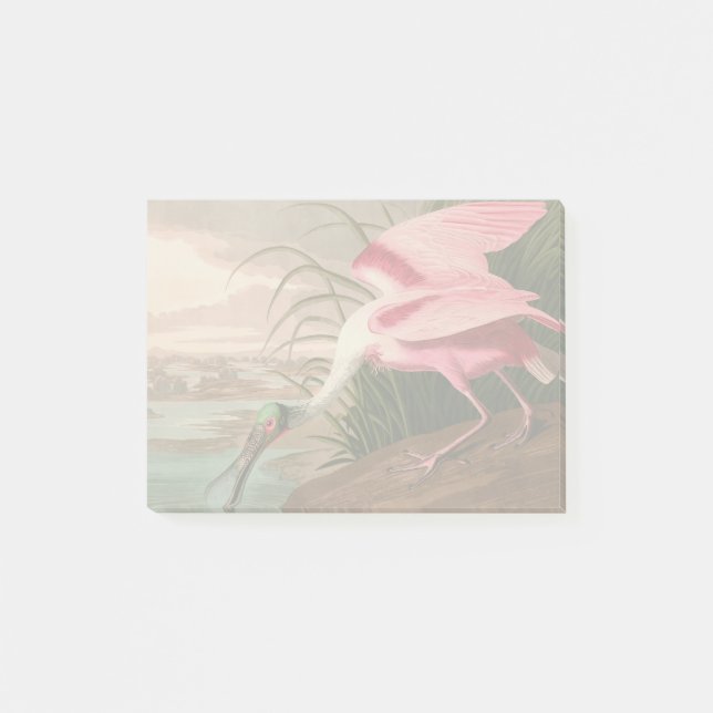 Post-it® La faune des oiseaux d'Audubon de Spoonbill Roseat (Devant)