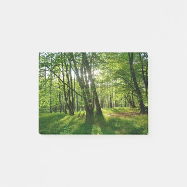Post-it® La forêt au printemps (Devant)