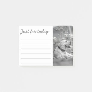 POST-IT® LABRADOR DOG RELAXING POST-IT NOTES