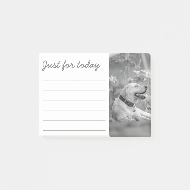 POST-IT® LABRADOR DOG RELAXING POST-IT NOTES (Devant)