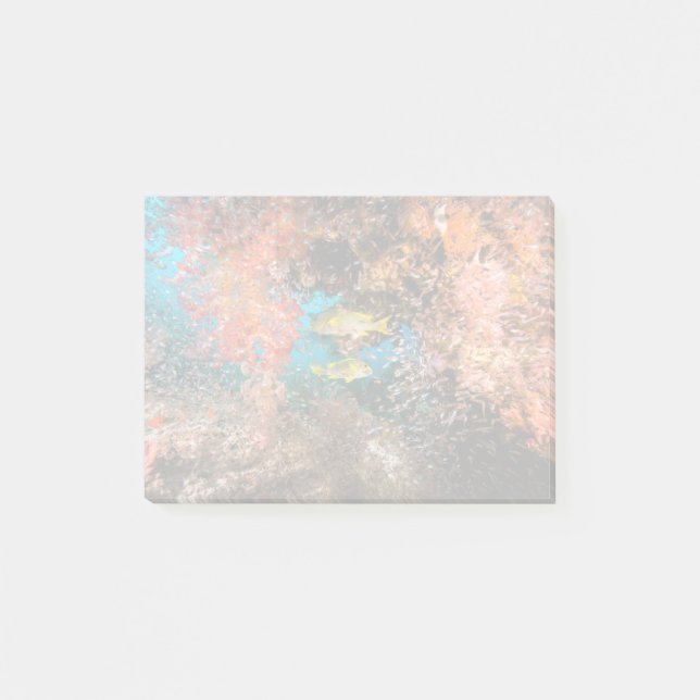 Post-it® Laja Ampat 6 sous-marins (Devant)