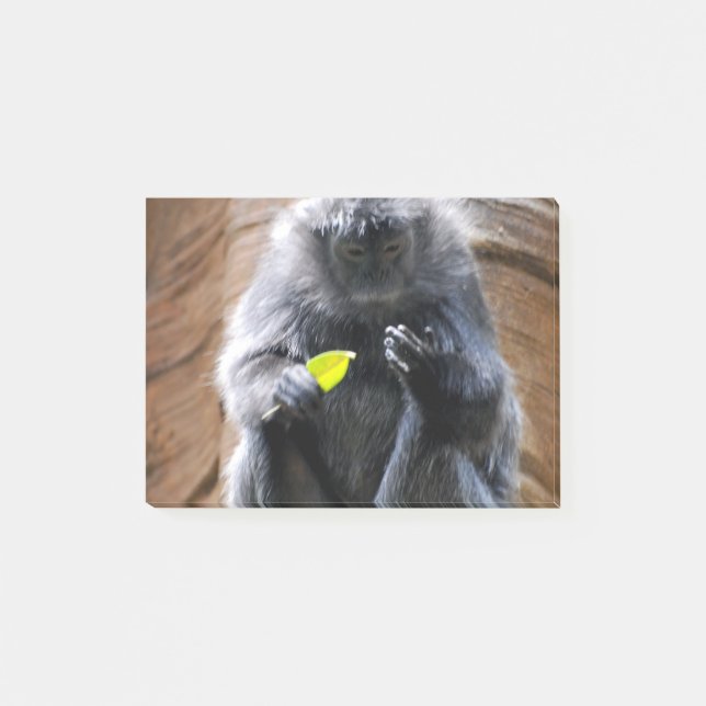 Post-it® Langur de bois d'ébène (Devant)