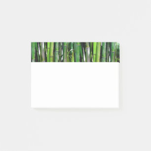 Post-it® Le Bambou vert Stalks Photographie de la nature
