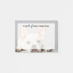 Post-it® Le Chien-taureau français couché