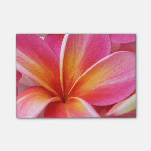 Post-it® Le Plumeria fleurit la fleur florale de Frangipani