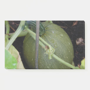 Post-it® Le squash du jardinier