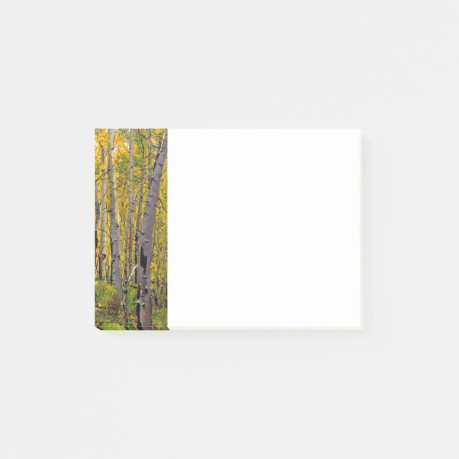 Post-it® Les arbres d'Aspen dans le bois (Devant)