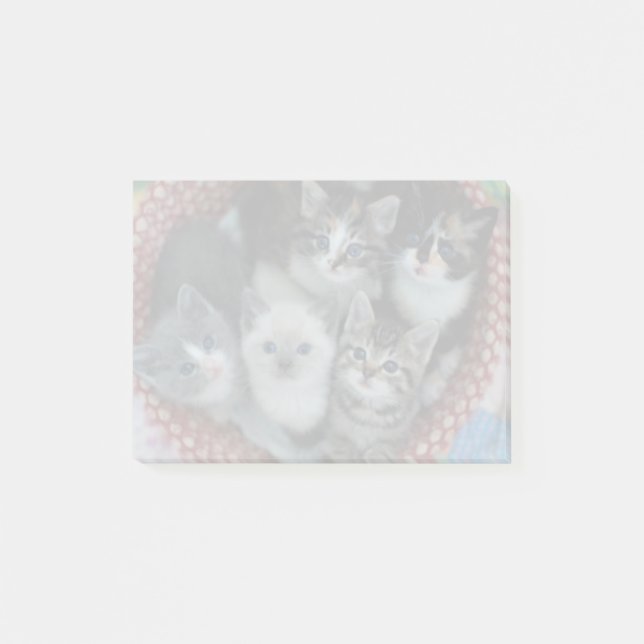 Post-it® Les Chatons Dans Un Panier (Devant)