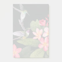 Les colibris de la Plumeria