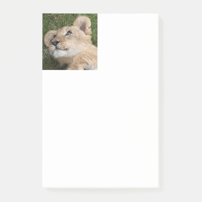 Post-it® Lion 022 (Devant)