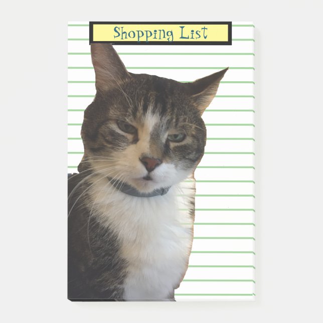 Post-it® Liste d'achats de chats (Devant)