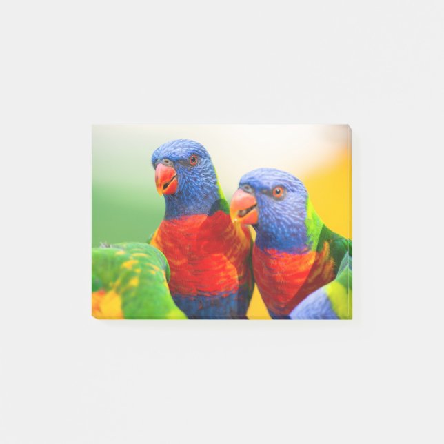 Post-it® Lorikeets d'arc-en-ciel (Devant)