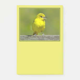Post-it® Loriole des vergers - Photographie originale