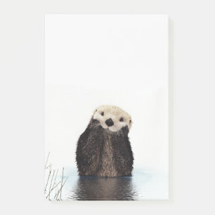 Post-it® Loutre de sourire adorable dans le lac